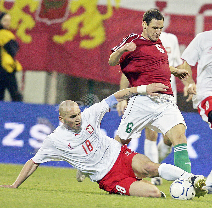 ハンガリー 親善試合でポーランドを破る