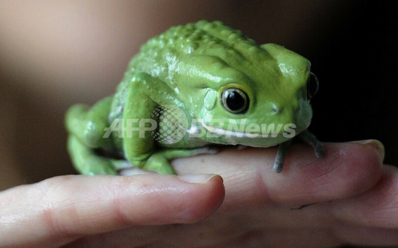全員集合！動物園で点呼　ロンドン