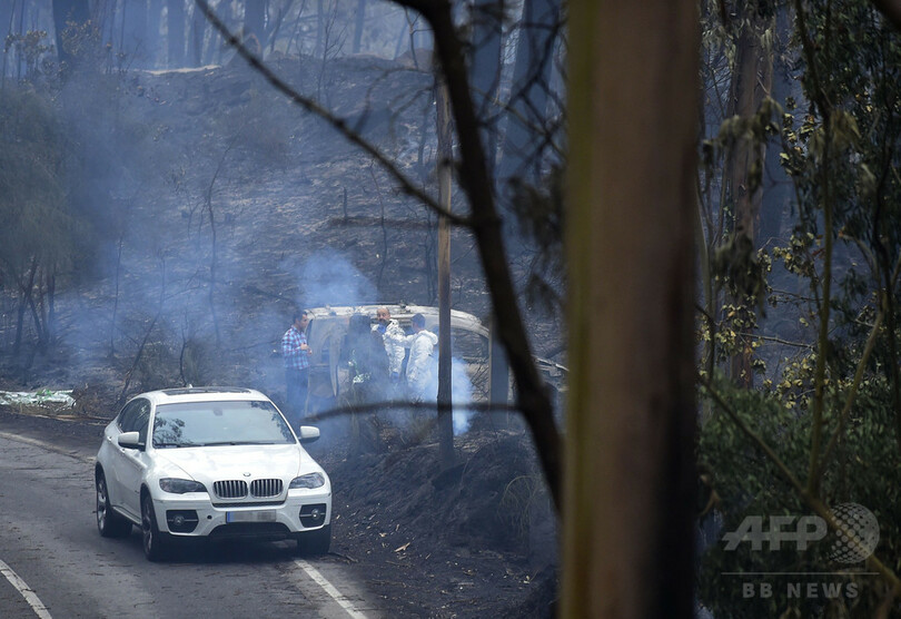 ポルトガルの山火事、死者27人に スペインでも3人死亡