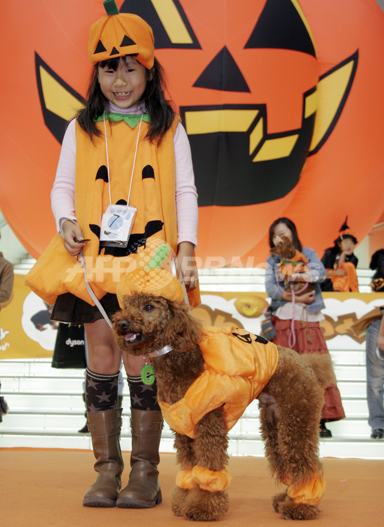 わんにゃんハロウィンファッションショーが開催される