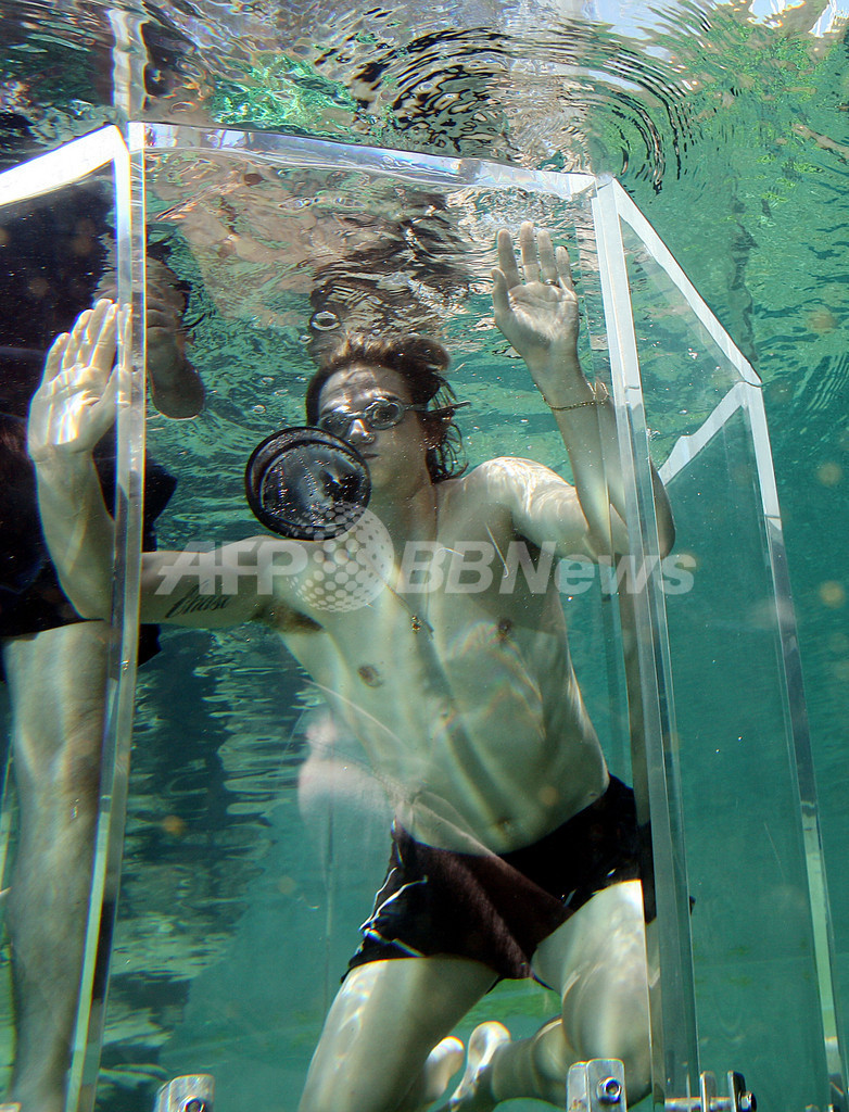 海中ガラス・ケースで、わくわくワニ見学