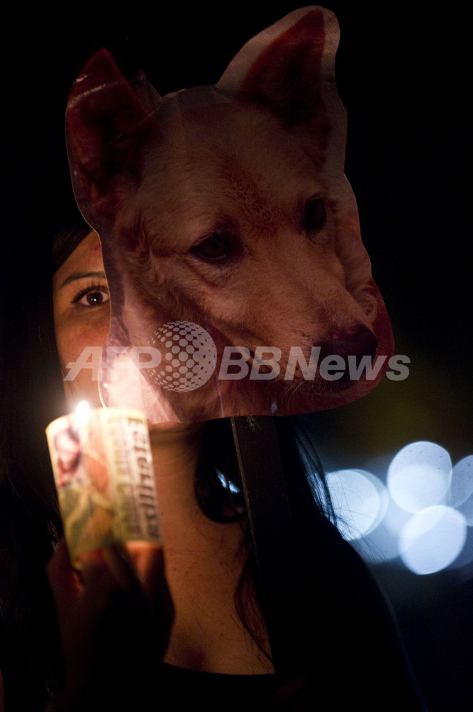 ホームレスの動物を救って！活動家がデモ コロンビア