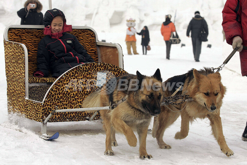 雪と氷の祭典 「第23回ハルビン氷祭り」開催 - 中国