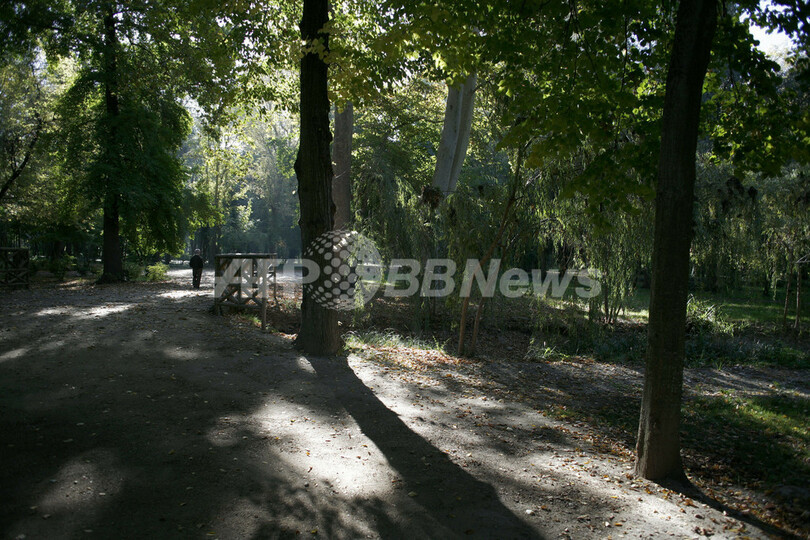 スペインで深まる秋、公園にはアカリスの姿も