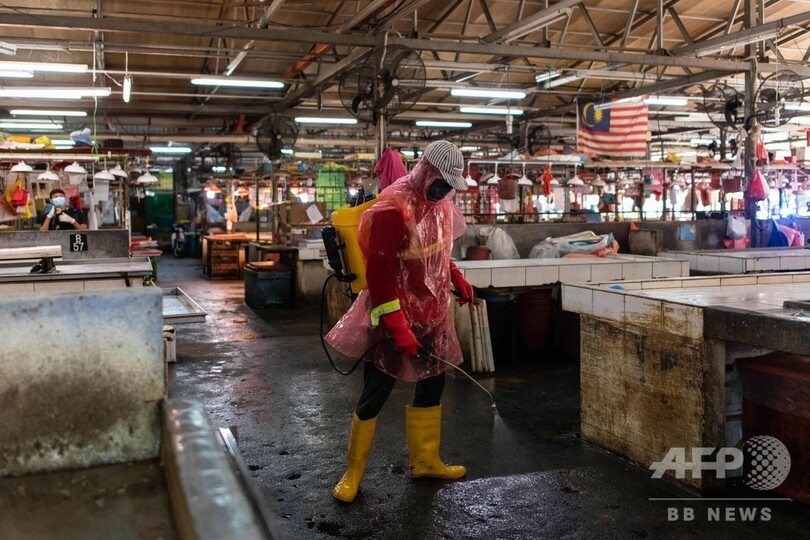 女性はドラえもん声で甘えよう、マレーシア女性省の助言に非難殺到