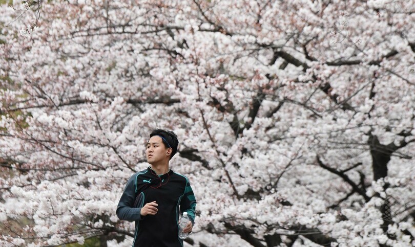 都内で桜が満開に、花見客で各所にぎわう