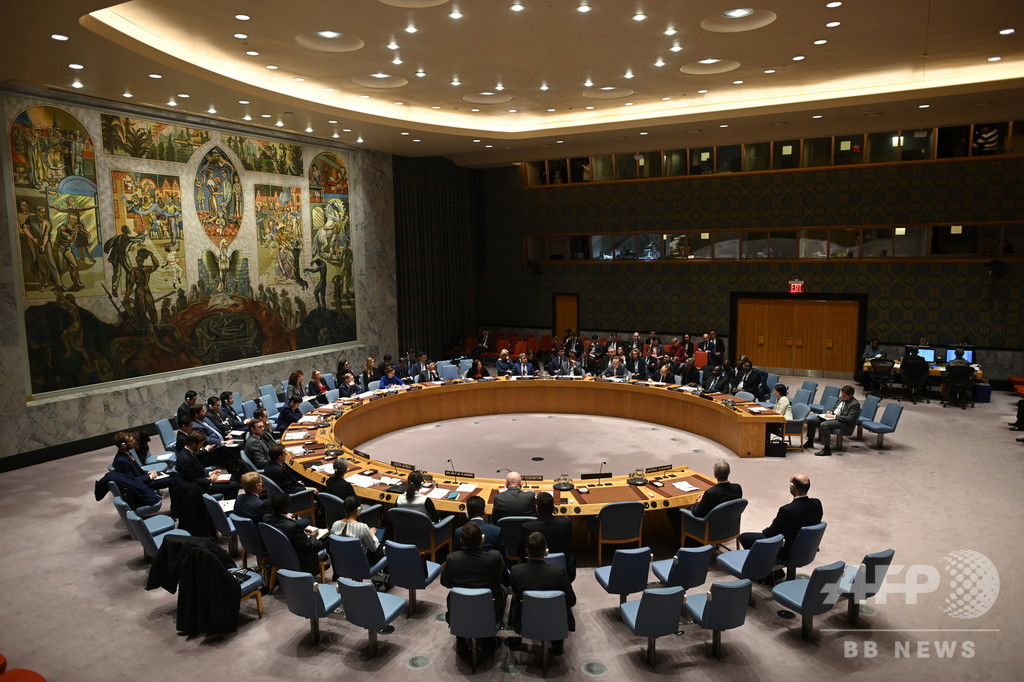 国連安保理、米が求める対イラン制裁復活手続きを阻止 国連安保理、米が求める対イラン制裁復活手続きを阻止