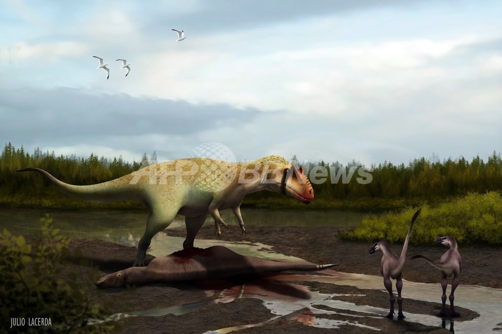 ティラノサウルス類も恐れた大型肉食恐竜、米国で化石発見 写真2枚