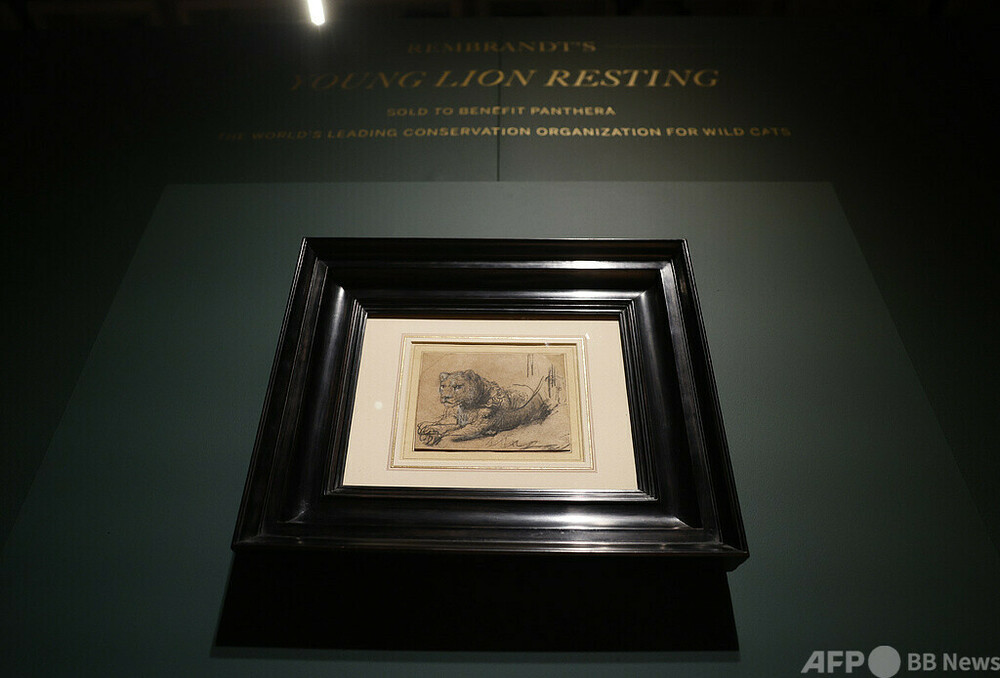 レンブラントの素描「Young Lion Resting」 1270万ユーロで落札 写真1
