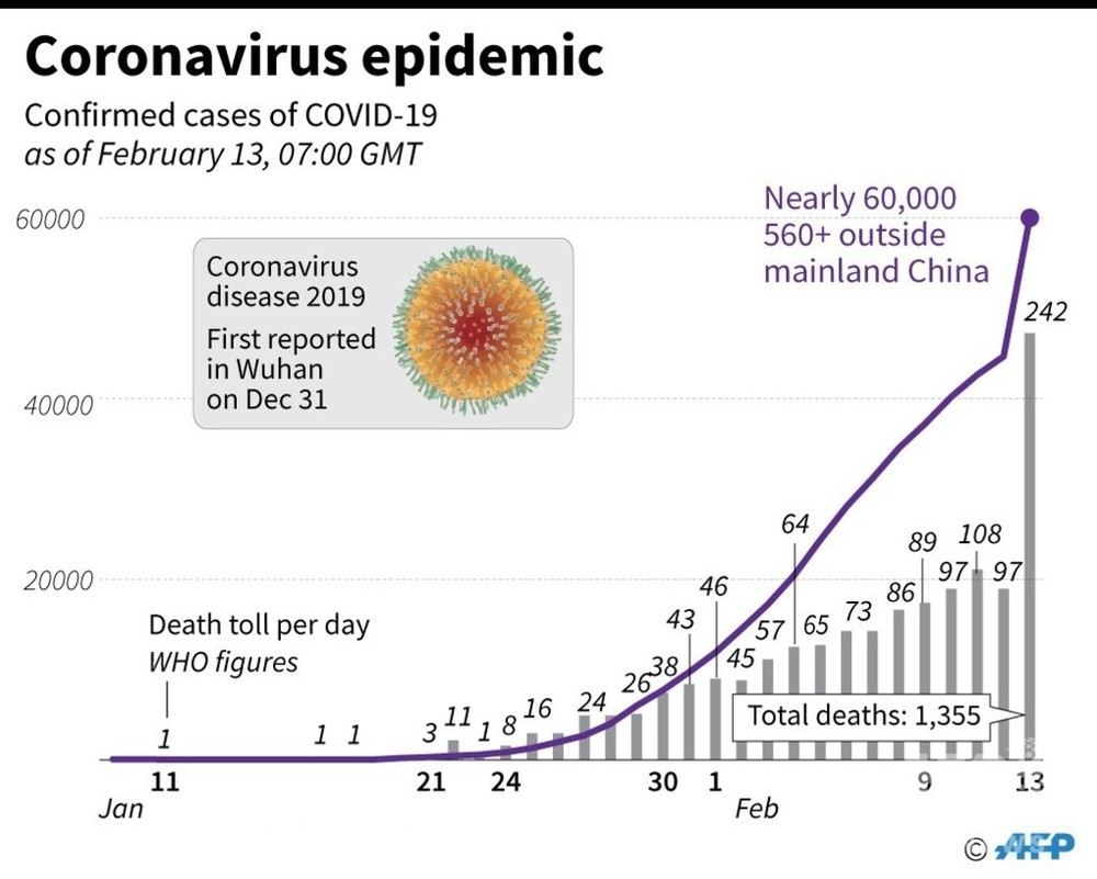 新型コロナウイルス 感染者が確認された国と地域 14日0時50分現在 写真5枚 国際ニュース Afpbb News