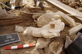 トルコ西部サガラッソス（Sagalassos）で発掘された古代ローマ皇帝マルクス・アウレリウス（Marcus Aurelius、在位161-180年）の大理石像の腕部（2008年8月21日撮影）。(c)AFP/Salagassos Archaelogical Research Project (SARP)