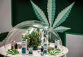タイの首都バンコクに開業した大麻専門クリニックに展示された大麻オイル製品（2020年1月6日撮影）。(c)Mladen ANTONOV / AFP