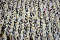韓国・ソウル（Seoul）東の加平（Gapyeong）にある統一教会（Unification Church）本部で17日、約3500組のカップルが合同結婚式をあげた。同じ衣装に身を包んださまざまな国籍のカップルは、数日前に初めて顔を合わせたばかり。合同結婚式が行われるのは、統一教会創始者の文鮮明（Moon Sun-Myung）氏が昨年7月に亡くなってから初となる（2013年2月17日撮影）。(c)AFP/KIM JAE-HWAN