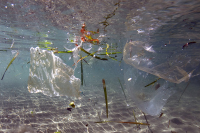 カーニバル前のリオ 水道水汚染で断水やパニックも ブラジル 写真3枚 国際ニュース Afpbb News