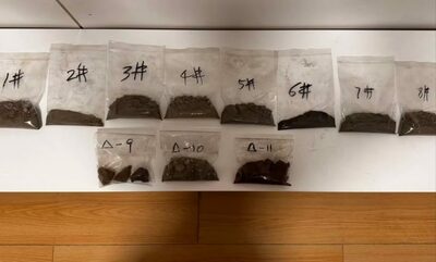 北朝鮮産の戦略鉱物「タングステン」、中国に継続的に輸出…活発な取引実態が判明