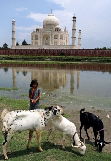 インド、井戸に転落した少女を軍隊が救出