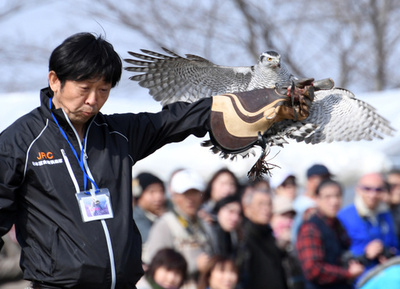 鷹匠たちの祭典「フライトフェスタ」開催　千葉