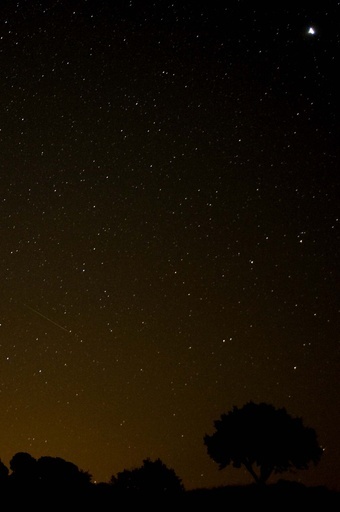 連星系の白色矮星、伴星を「共食い」 天文学者が発見