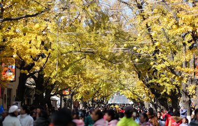 【三里河中国経済観察】地域特性を生かし高品質な発展へ