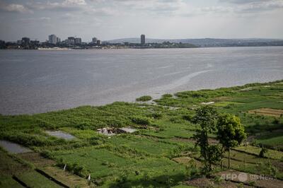 アフリカの自然保護団体、監視員による先住民へのレイプ・虐待認める