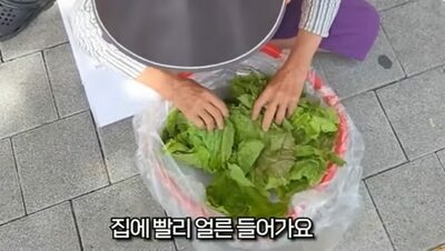 たとえPV稼ぎ目的でも…韓国・裸足で野菜売る高齢女性に手を差し伸べたユーチューバーに称賛の声
