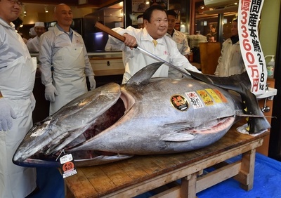 クロマグロに過去最高3億円超、豊洲市場で新年初競り