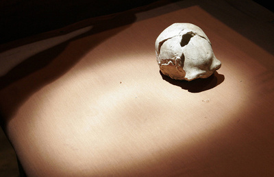 原始人類、最終氷期末まで存在か 大腿骨化石を分析