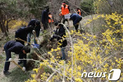 「植樹の日（4月5日）」に木を植えるのは遅すぎる！…気候変動、韓国で「記念行事」前倒し相次ぐ