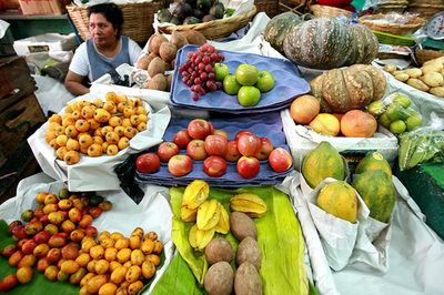 地球温暖化の影響は肉や野菜にも、農業会議で研究者が警鐘