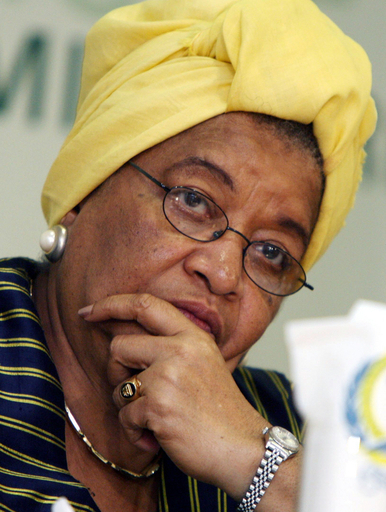 ドイツ・アフリカ協力会議、ナイジェリアが気候変動対処への支援を要請 - ガーナ