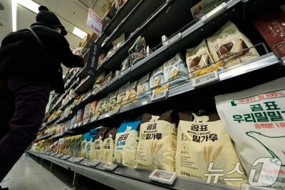 価格談合で利益水増し、スーパーカー修理まで会社負担…韓国・食品企業から約190億円追徴