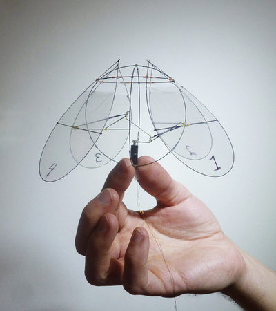 クラゲ型の飛行装置、米研究者が開発