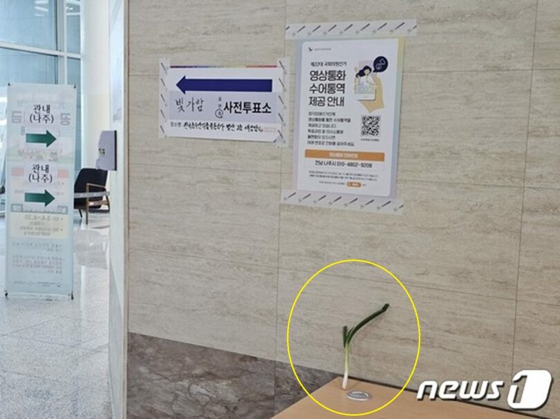 全羅南道羅州の革新都市ピッガラム洞の投票所に置かれた長ネギ=黄色の枠内(c)news1