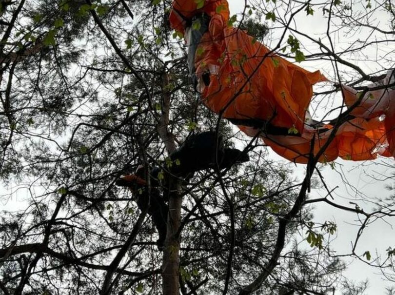 木の枝に引っ掛かったパラグライダー（写真=慶南消防本部）(c)MONEYTODAY