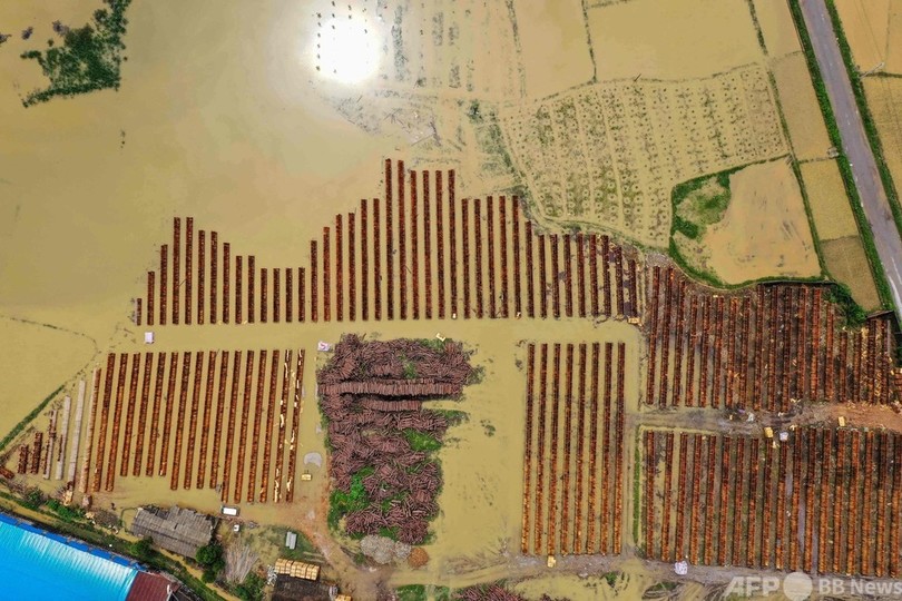 中国南部、豪雨による洪水 田畑や製材所が冠水