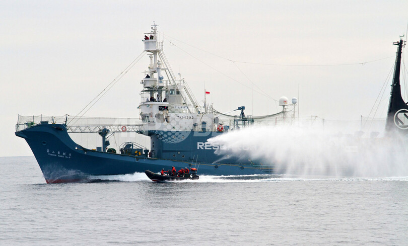 シー シェパードが新たな妨害 抗議船 ゴジラ も登場 写真1枚 国際ニュース Afpbb News
