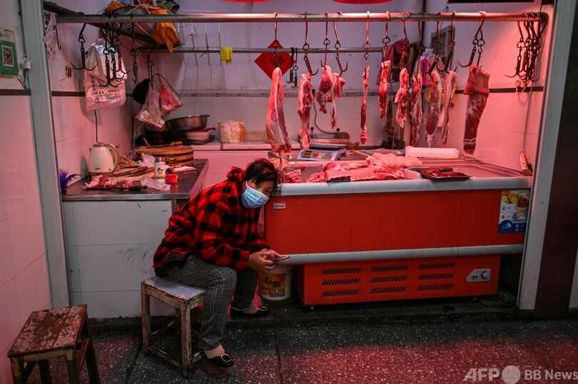 WHO、新型コロナの起源めぐり初の国際専門家会議