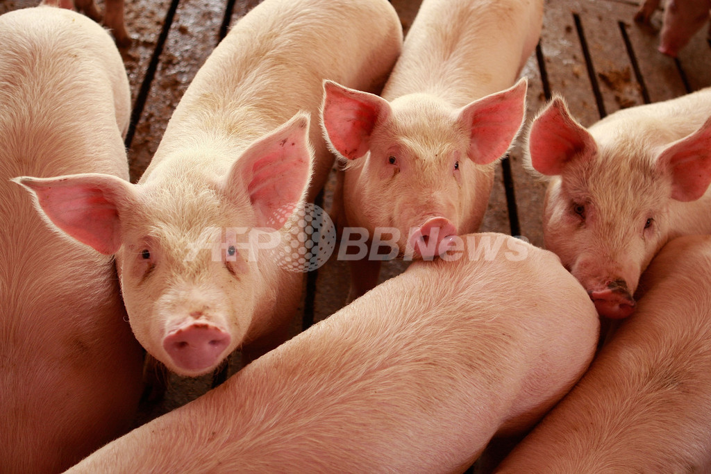 メキシコ保健相、新型インフル「確認」死者を7人に引き下げ 「疑いのある」死者は152人