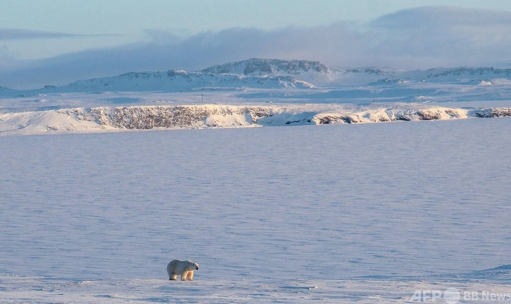 北極圏の温暖化、地球平均の3倍の速さで進行 報告書