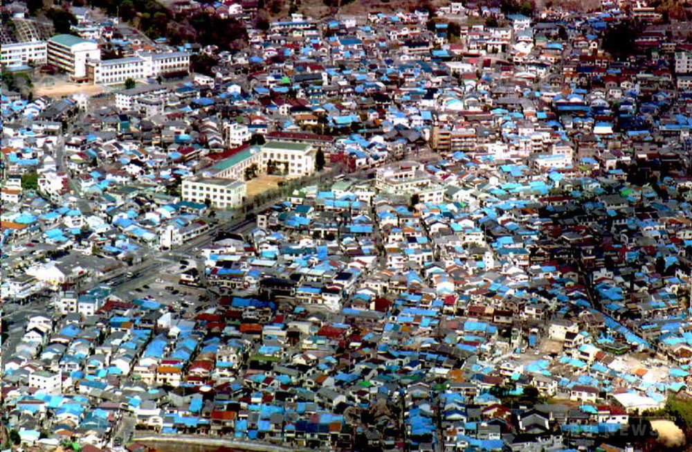 阪神・淡路大震災から20年 写真1枚 国際ニュース：AFPBB News