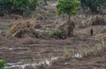 マラウイ南部で、洪水による被害を受けたトウモロコシ畑（2019年3月15日撮影）。(c)AMOS GUMULIRA / AFP