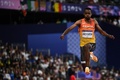 パリ五輪、陸上男子三段跳び決勝。試技に臨むスペインのホルダン・ディアス（2024年8月9日撮影）。(c)Ben STANSALL / AFP