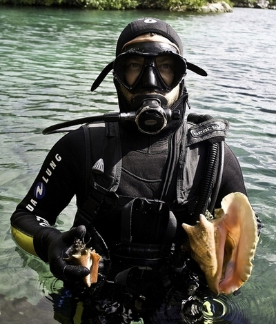 温暖化の影響、貝で探れ！リゾート地カンクン沖で地道な調査