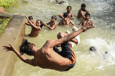 【今日の1枚】飛び込み方にも個性キラリ