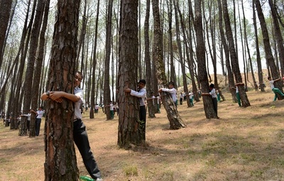 2000人以上で「ツリーハグ」、ネパールでギネス記録更新へ