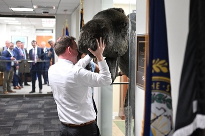 【今日の1枚】議員会館に珍客 米ワシントン