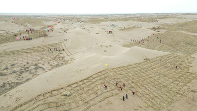 公務員幹部らが砂漠で砂防壁作り 中国甘粛省の発電所周辺