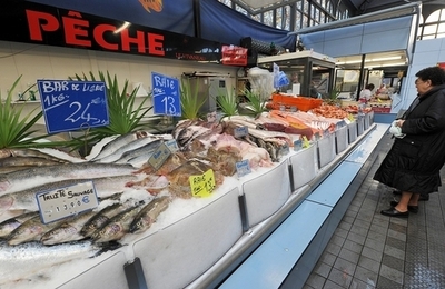 魚をよく食べる女性は心臓も健康に、デンマーク研究