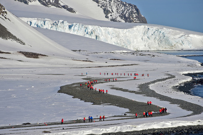 南極半島の今年の平均最高気温、過去30年間で最高 研究