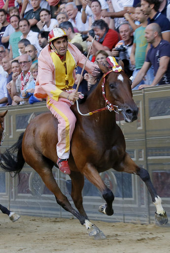 裸馬を駆る伝統競馬「パリオ」、人馬一体の妙技